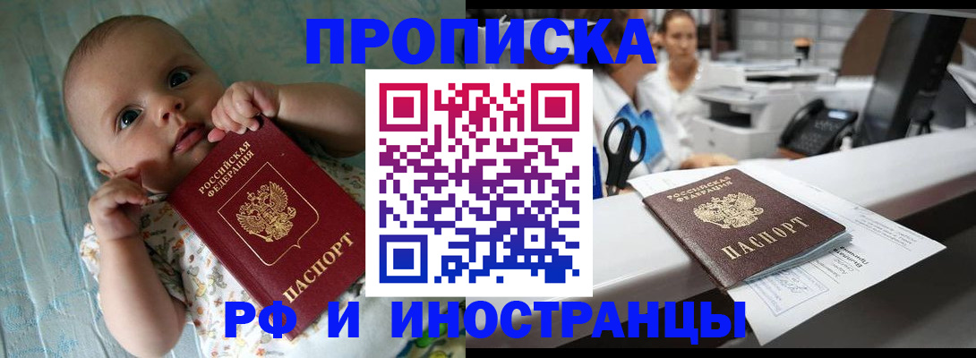 прописка поиск в Тольятти